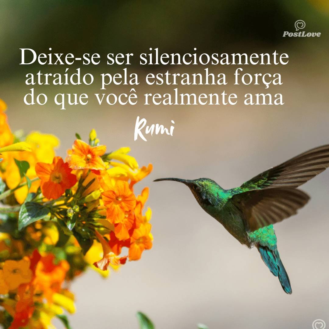 Deixe-se ser silenciosamente atraído pela estranha força do que você realmente ama