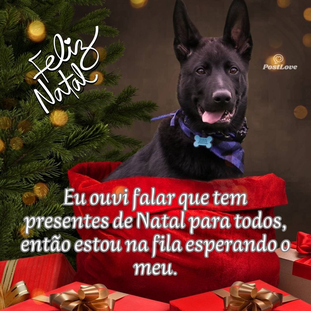 Eu ouvi falar que tem presentes de Natal para todos, então estou na fila esperando o meu.