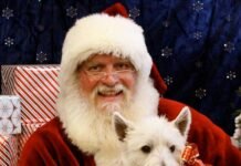 15 Frases Criativas e Divertidas de Natal Como Se Os Pets Estivessem Falando