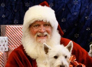 15 Frases Criativas e Divertidas de Natal Como Se Os Pets Estivessem Falando