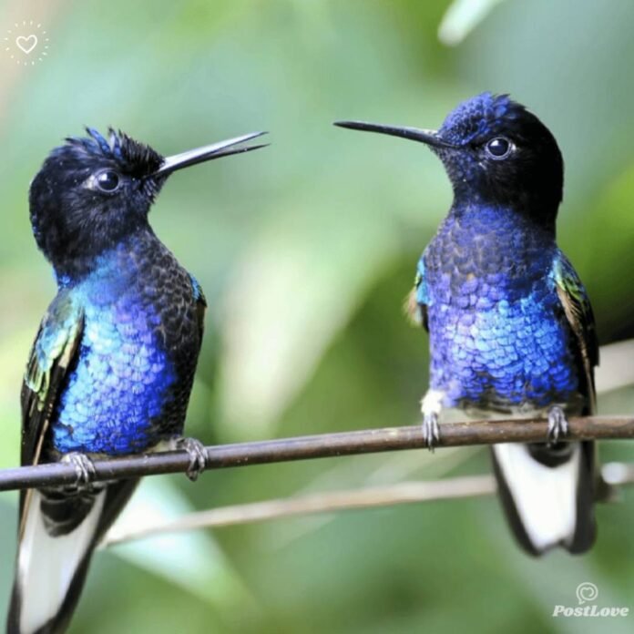 featured-image