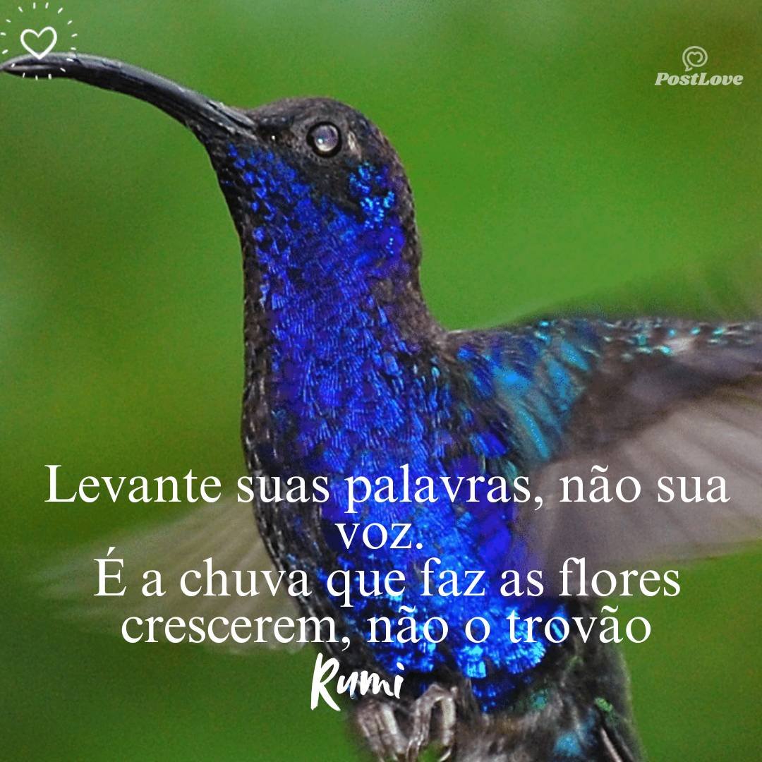 Levante suas palavras, não sua voz. É a chuva que faz as flores crescerem, não o trovão