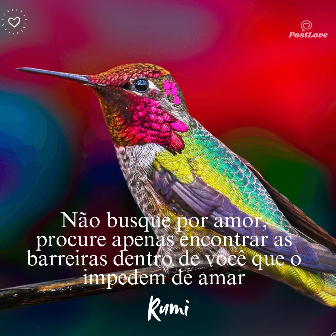 Não busque por amor, procure apenas encontrar as barreiras dentro de você que o impedem de amar