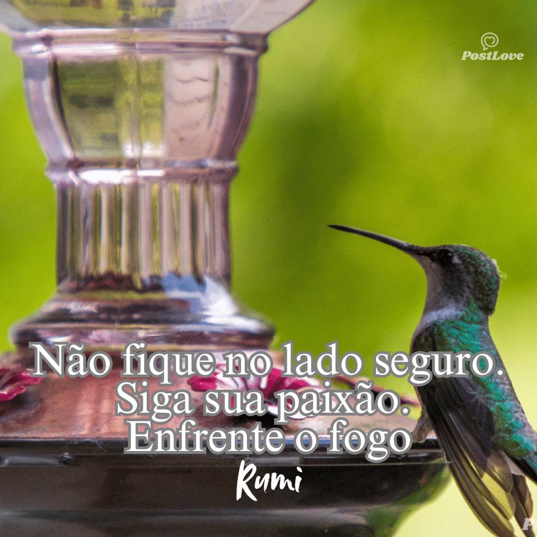 Não fique no lado seguro. Siga sua paixão. Enfrente o fogo