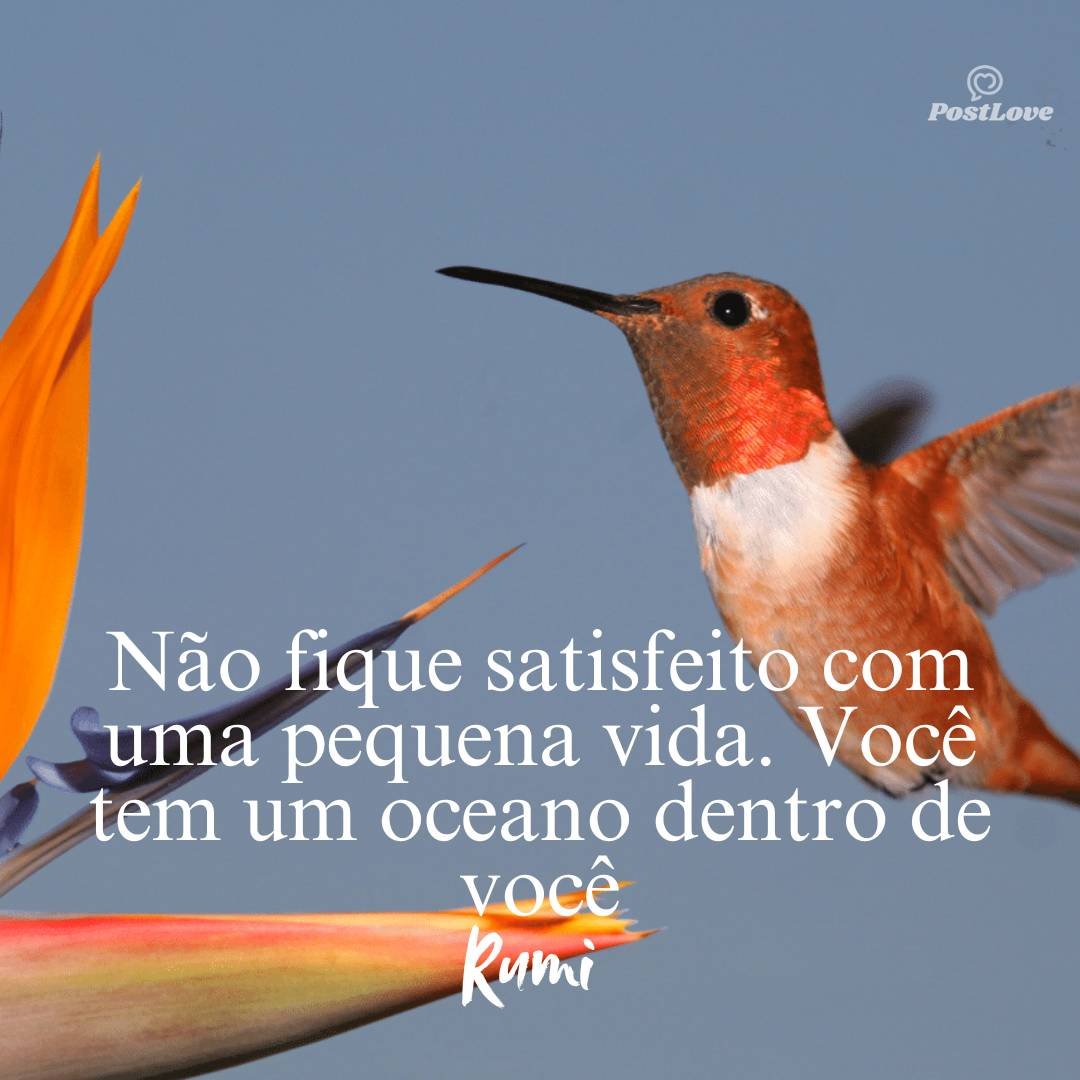 Não fique satisfeito com uma pequena vida. Você tem um oceano dentro de você