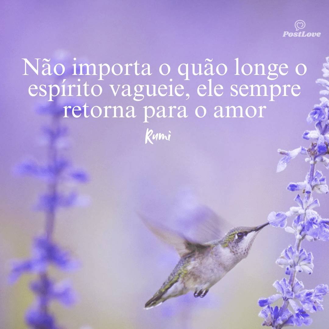 Não importa o quão longe o espírito vagueie, ele sempre retorna para o amor