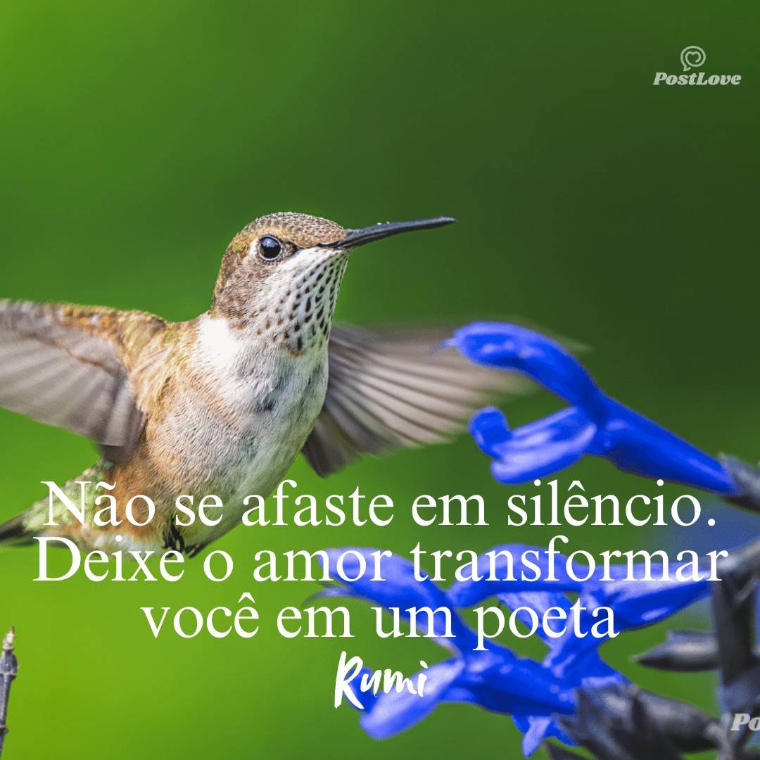 Não se afaste em silêncio. Deixe o amor transformar você em um poeta