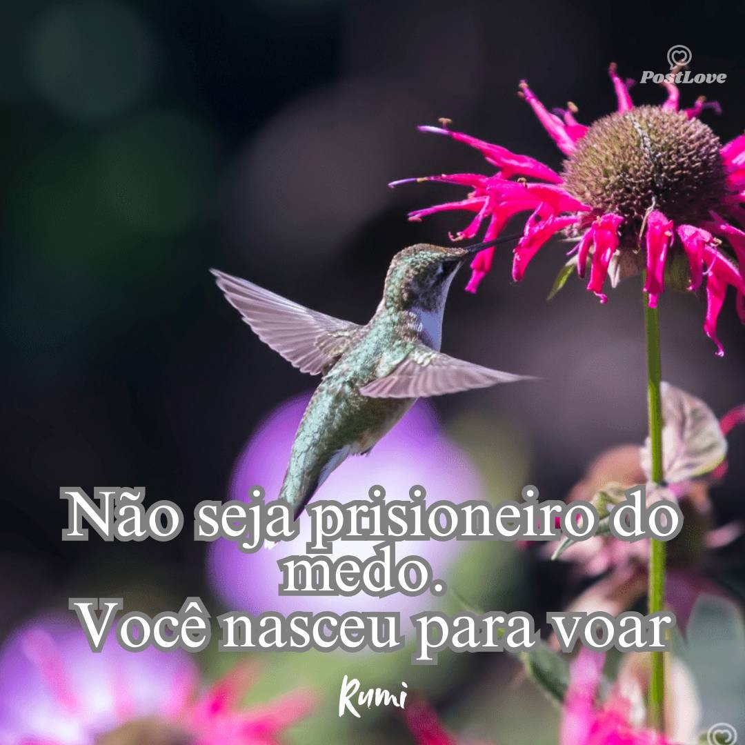 Não seja prisioneiro do medo. Você nasceu para voar