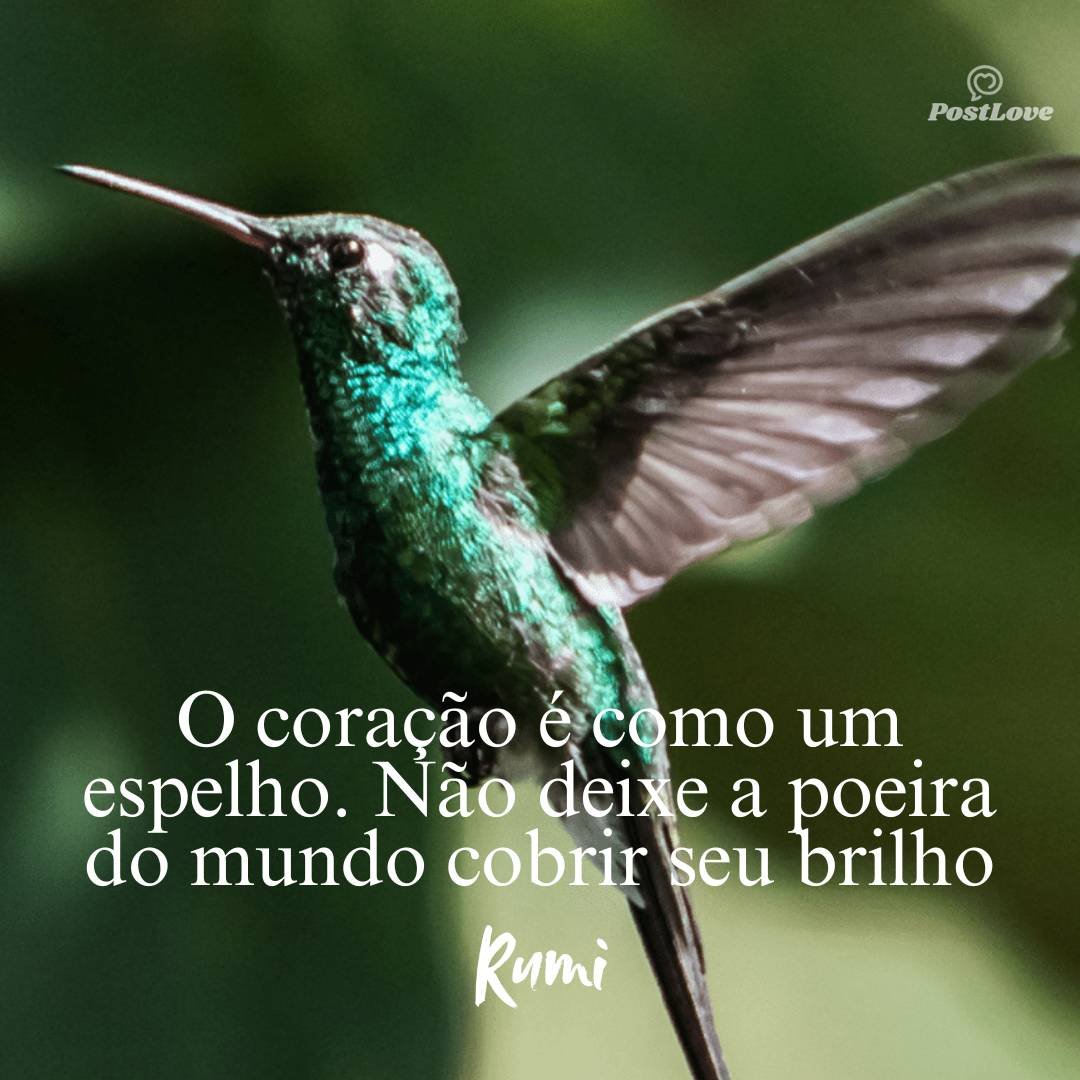 O coração é como um espelho. Não deixe a poeira do mundo cobrir seu brilho