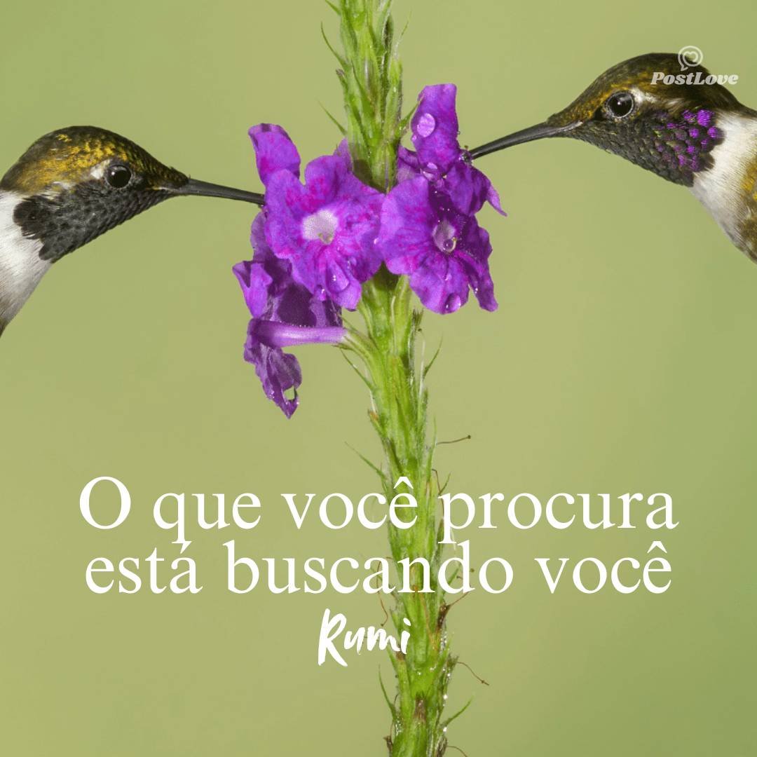 O que você procura está buscando você