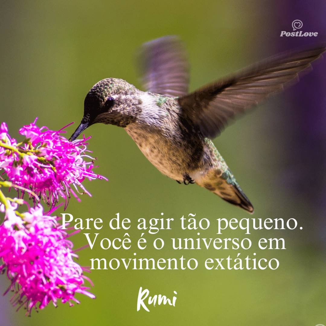 Pare de agir tão pequeno. Você é o universo em movimento extático