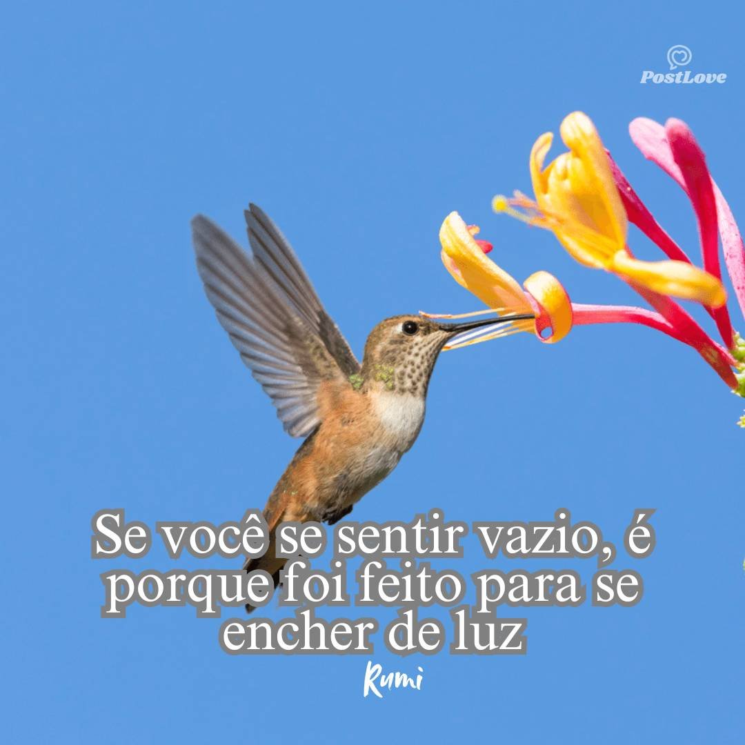 Se você se sentir vazio, é porque foi feito para se encher de luz