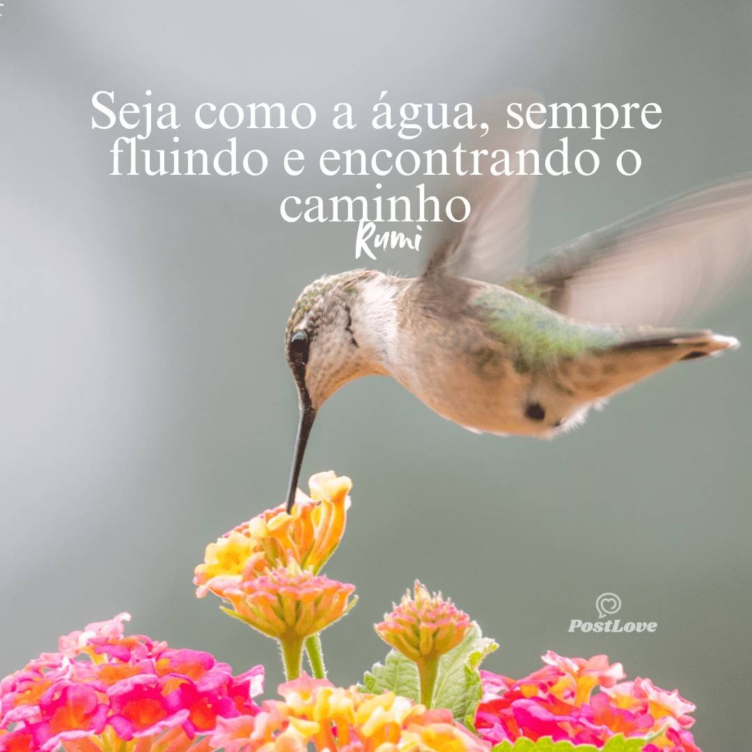 Seja como a água, sempre fluindo e encontrando o caminho