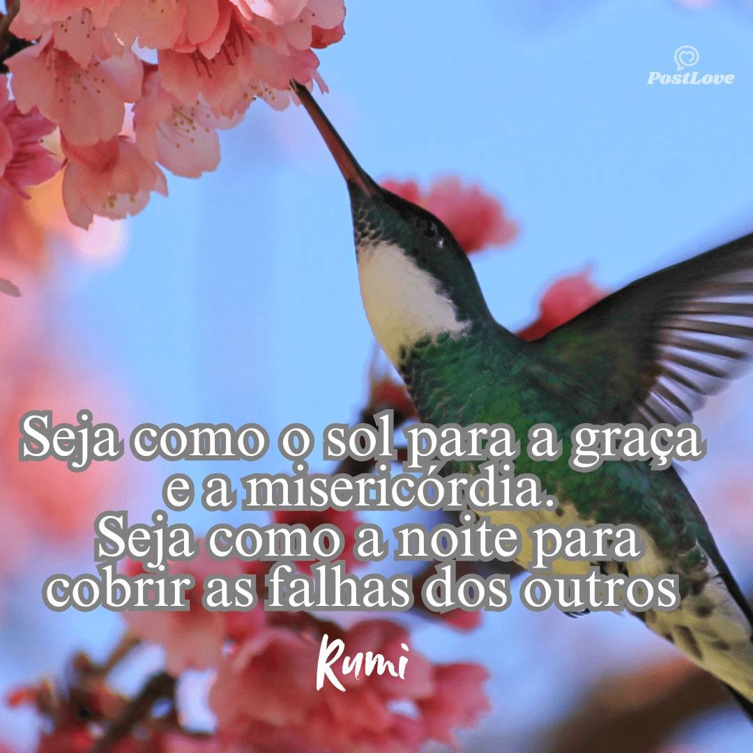 Seja como o sol para a graça e a misericórdia. Seja como a noite para cobrir as falhas dos outros