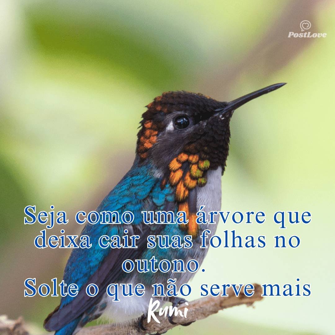 Seja como uma árvore que deixa cair suas folhas no outono. Solte o que não serve mais