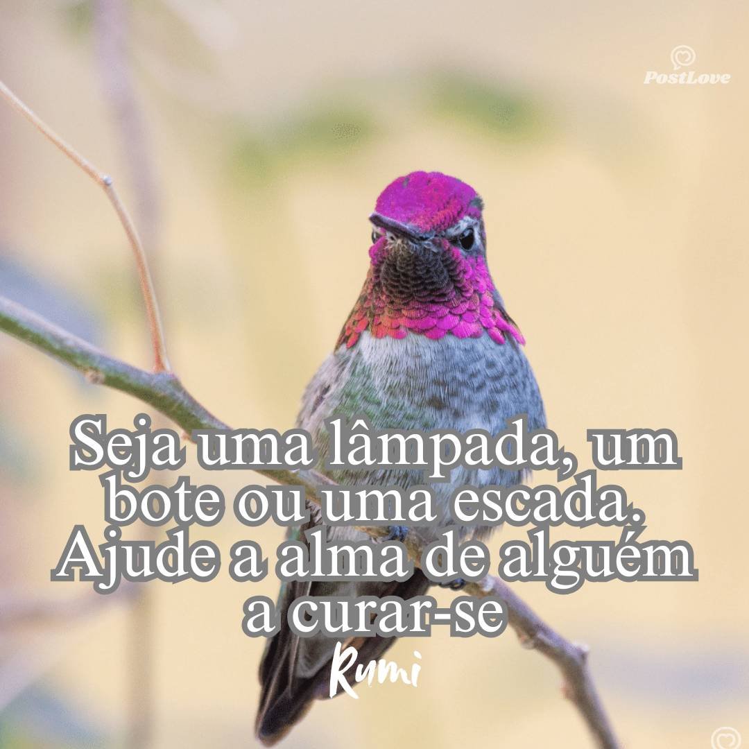 Seja uma lâmpada, um bote ou uma escada. Ajude a alma de alguém a curar-se