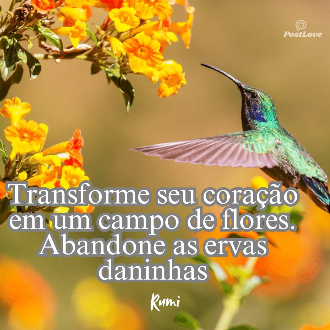 Transforme seu coração em um campo de flores. Abandone as ervas daninhas