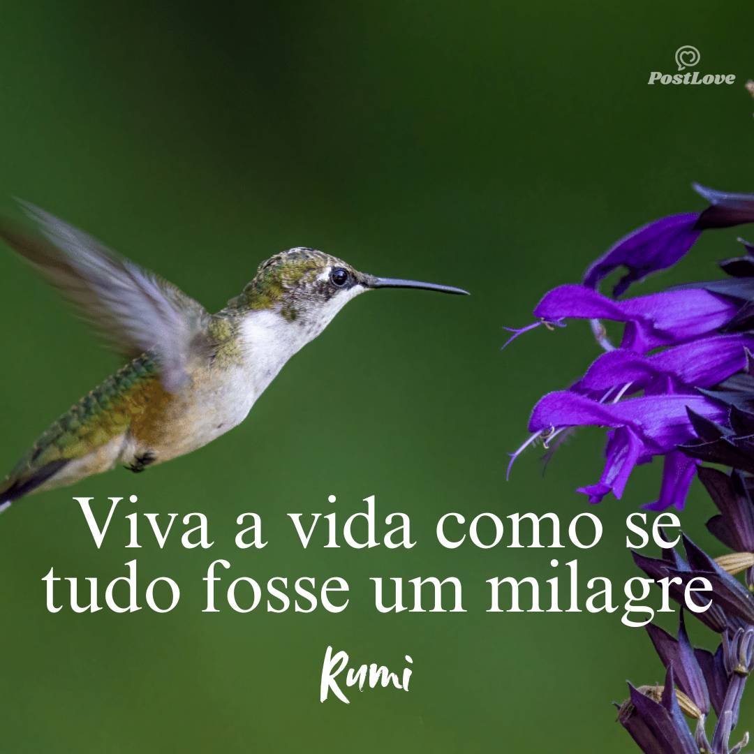 Viva a vida como se tudo fosse um milagre