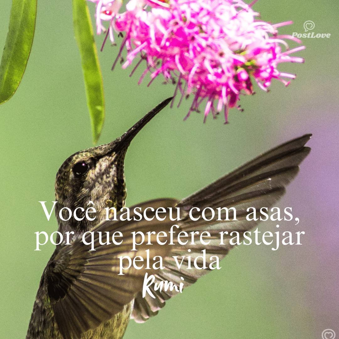Você nasceu com asas, por que prefere rastejar pela vida