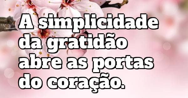 A simplicidade da gratidão abre as portas do coração.