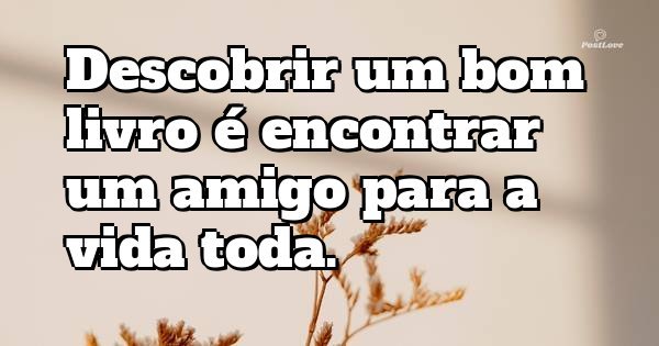 Descobrir um bom livro é encontrar um amigo para a vida toda.