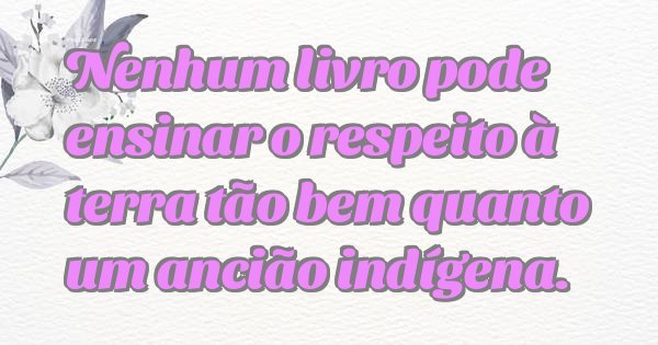 Nenhum livro pode ensinar o respeito à terra tão bem quanto um ancião indígena.
