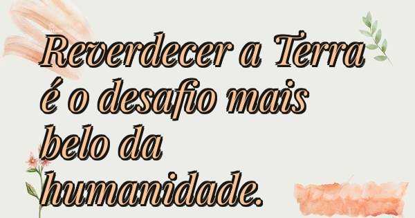 Reverdecer a Terra é o desafio mais belo da humanidade.